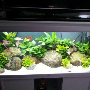 240 L