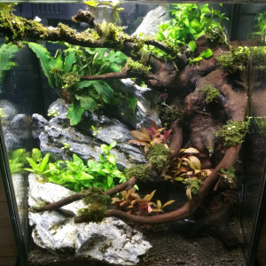 Nano 10 Litres