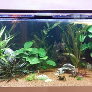 300 litres communautaire