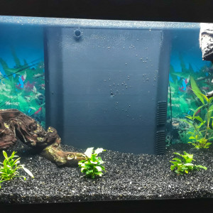 Aquarium