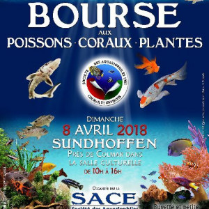 Societe Des Aquariophiles De Colmar Et Environs