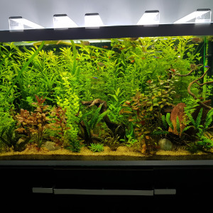Osaka 320l