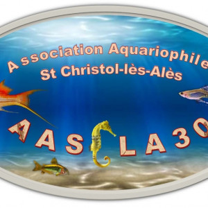 club aquariophilie Association Aquariophile Saint Christol Les Alés