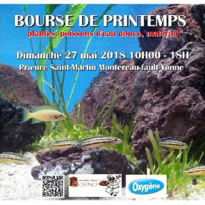 Bourse Aquario Club de Montereau