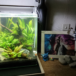 Nano cube Dennerle 30 l