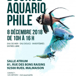 Bourse aquariophile des abysses