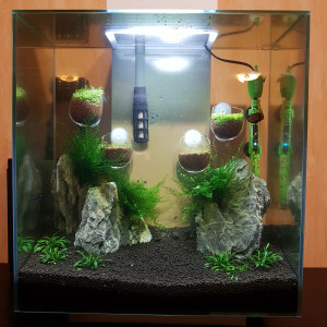 Aquasalamanger