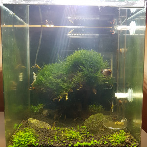 Aquasalon