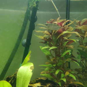 180 L