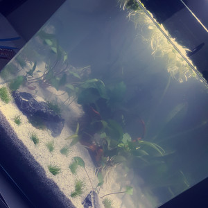Aquarium nano