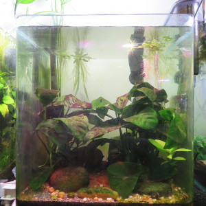20 L