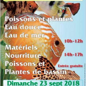 Association Aquariophile De Chaligny