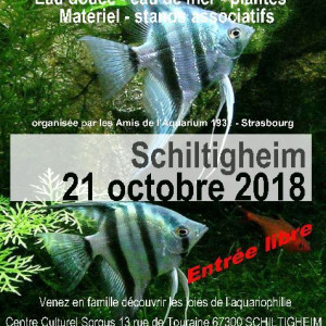 Les Amis De L'aquarium 1932