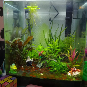 30L Lana