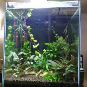 20L Bureau