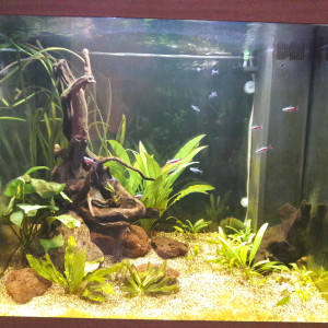 Communautaire 200 litres