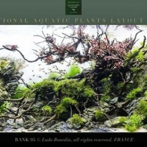 Publication de NakMuay