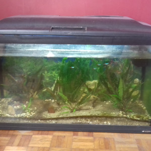 Neon 100litres