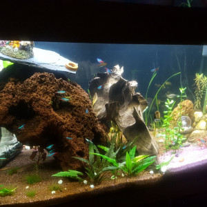 160Litres