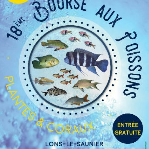 Bourse Aux Poissons Du Caj 2018