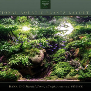 Publication de NakMuay