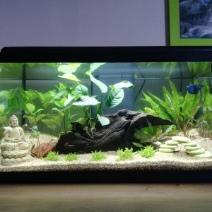 50L