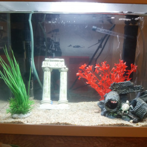 Aquarium