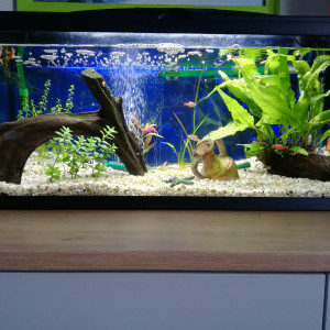80L