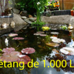 bassin 1000 L
