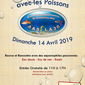 1er rendez vous avec les poissons
