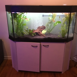 Aqua 300