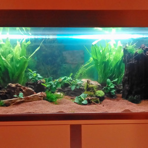 325 l xiphos