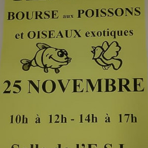 Bourse aux poissons et oiseaux