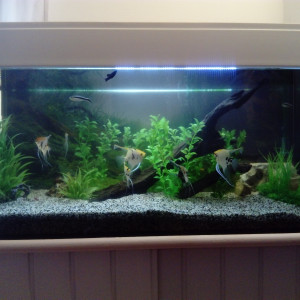 200 L