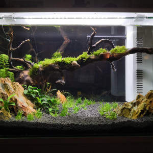 HOME 60