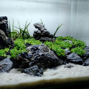 Dennerle Tank 35L