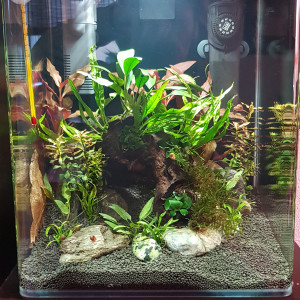 30l