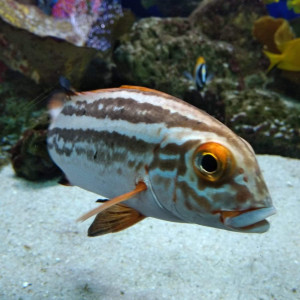 100 m3 eau de mer