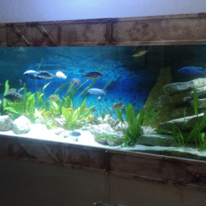 Publication de eddy38