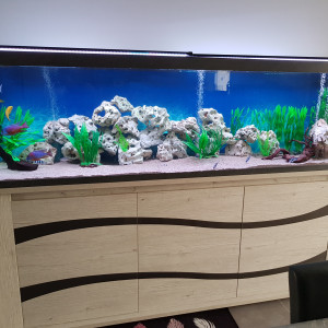 Publication de cosgun-murat