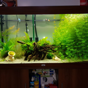 350l