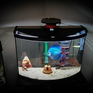 50L