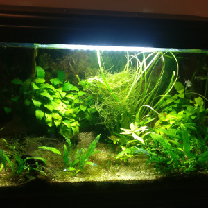 mon premier bac 60 litres