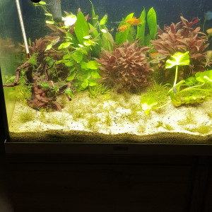 mathieu-loth-guillon