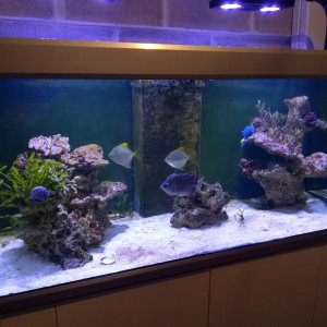 750 litres