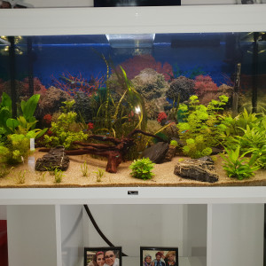 Aquarium
