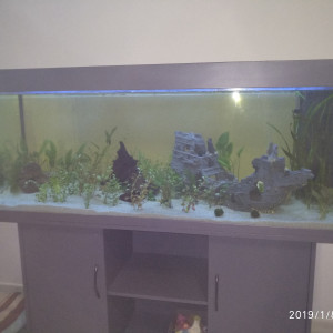 450L