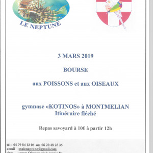 Bourse aux poissons