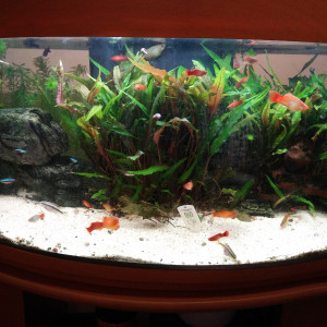 Aquarium 130L