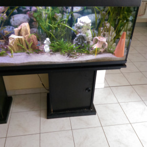Scalaires 600l